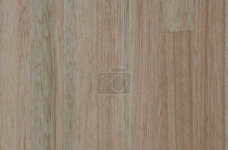 Téléchargez les photos : Bois d'eucalyptus texture fond plein de bois avec motif - en image libre de droit