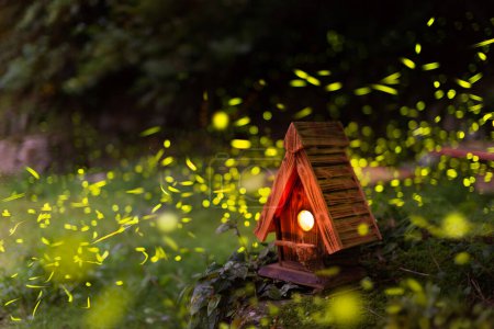 Téléchargez les photos : La nuit, des lucioles volent autour d'un nid d'oiseaux en bois sur une colline. L'été est la saison de reproduction des lucioles. - en image libre de droit