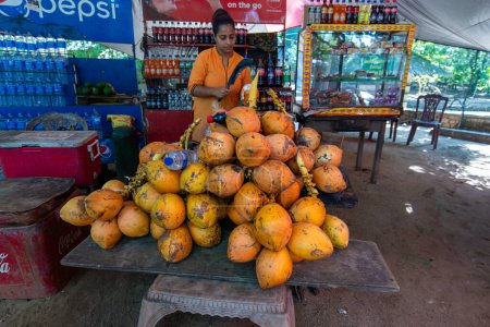 Photo for Polonnaruwa, Sri Lanka - January 25, 2024: A street vendor selling mineral water and beverages, with a woman cutting open a king coconut in the background. - Royalty Free Image