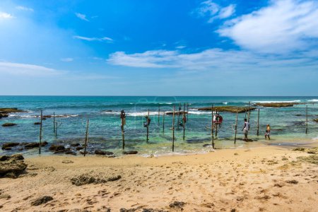 Foto de Southwest Coast, Sri Lanka - 29 de enero de 2024: Los pescadores se equilibran hábilmente sobre pilotes de madera en medio de las aguas poco profundas, lanzando sus líneas en un método de pesca sereno y tradicional. - Imagen libre de derechos