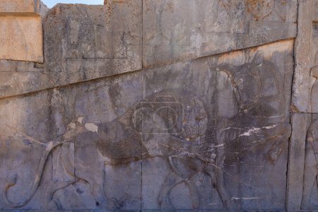 Photo for Detailed stone engravings depicting warriors in combat. A testament to ancient artistry, skillfully carved on the walls of a UNESCO World Heritage Site. Persepolis, Iran. - Royalty Free Image
