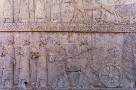 Detailed stone engravings depicting people and animals in motion. A glimpse into ancient artistry, showcasing intricate designs and storytelling, Persepolis, Iran.