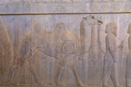 Photo for Detailed stone engravings depicting people and animals in motion. A glimpse into ancient artistry, showcasing intricate designs and storytelling, Persepolis, Iran. - Royalty Free Image