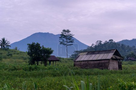 Foto de A view of a traditional shed in Bali with a tree and mountains on the background, horizontal - Imagen libre de derechos