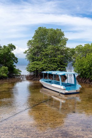 Foto de Un colorido barco azul y blanco en el bosque de manglares, Nusa Lembongan, Bali, Indonesia. - Imagen libre de derechos