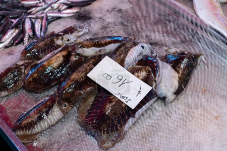 Photo for Fresh fish sold at an Italian market with seppie (translation: cuttlefish), horizontal - Royalty Free Image