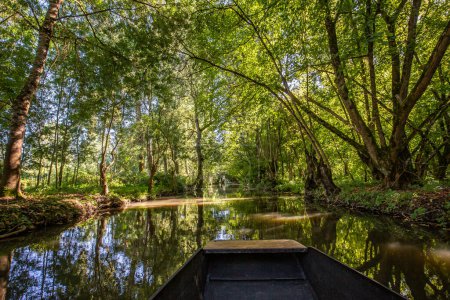 Bootsfahrt auf einem inneren Kanal im Marais Poitevin, Feuchtsumpf, Region Poitou, Frankreich, September 2022