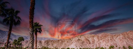 Téléchargez les photos : San jacinto montagne, sources de palmiers, californie - en image libre de droit