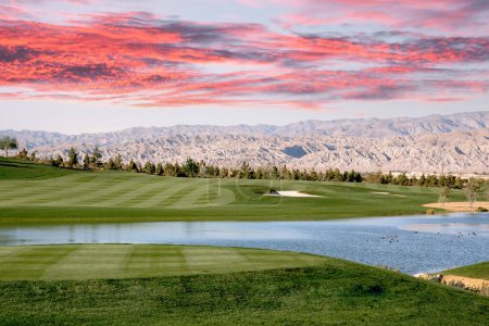 Photo for Golf course at sunset  in palm springs, california, usa - Royalty Free Image