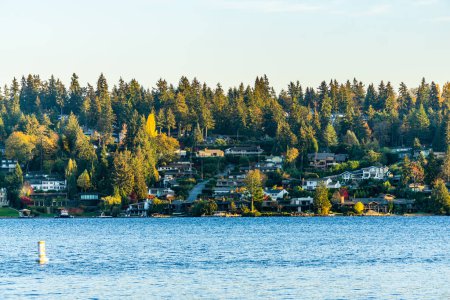 Téléchargez les photos : Arbres d'automne sur l'île Mercer près de Seattle. - en image libre de droit
