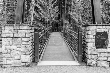 Téléchargez les photos : A view os a walking suspension brdige at  Bellevue Botanical Garden in Washington State. - en image libre de droit