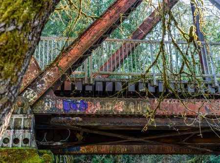 Téléchargez les photos : Plan rapproché d'un pont treslte sur la rivière Cedar à Renton, Washington. - en image libre de droit