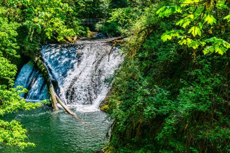 Téléchargez les photos : Un paysage de Drake Falls au parc d'État de Silver Falls dans l'État de l'Oregon - en image libre de droit