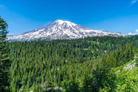 Photo for A veiw of Mount Rainier in Washington State in the summer season. - Royalty Free Image