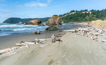 Téléchargez les photos : Une vue de la plage de Meyers Creek avec des vagues et des formations rocheuses sur la côte de l'État de l'Oregon. - en image libre de droit