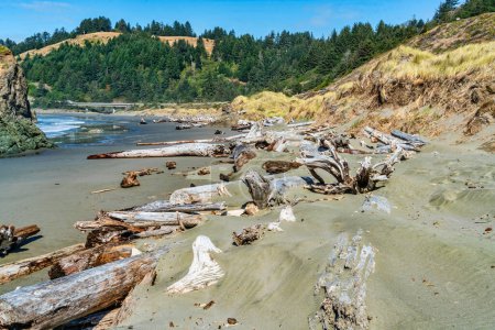 Téléchargez les photos : Une vue de la plage de Meyers Creek avec des vagues et des formations rocheuses sur la côte de l'État de l'Oregon. - en image libre de droit