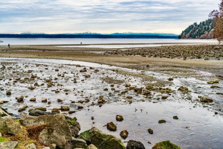 A landscape shot of a rocky shoreline with the Puget Sound and mountains in Des Moines, Washington.
