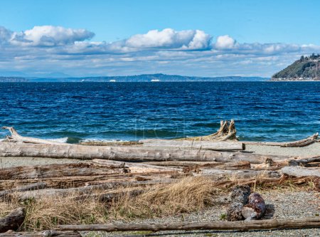 A view of deep blue water from Seahurst Beach Park. Driftwood in the foreground.