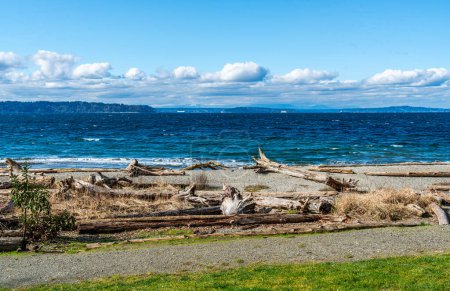 A view of deep blue water from Seahurst Beach Park. Driftwood in the foreground.