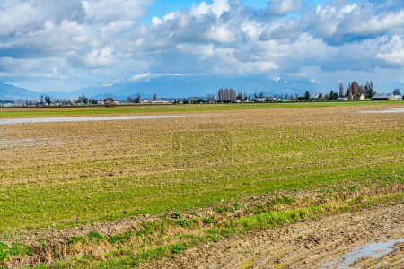 Photo for A field in spring near Lo Conner, Washington. - Royalty Free Image