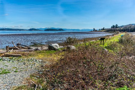 A view of mud flats with ocean water and mountains in the distance. Photo taken near Anacortes, Washington.