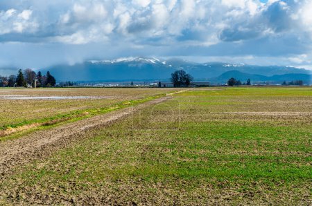 Photo for A field in spring near Lo Conner, Washington. - Royalty Free Image
