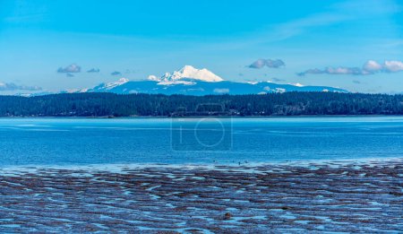 A view of mud flats with ocean water and mountains in the distance. Photo taken near Anacortes, Washington.
