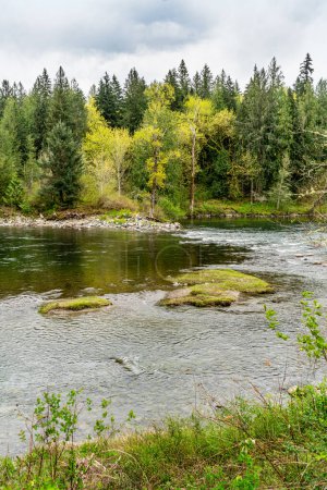 A view of the Snoqualmie River in Washington State in springtime.
