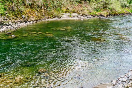 Des rochers peuvent être vus sous l'eau dans la rivière Snoqualmie dans l'État de Washington. Statel.