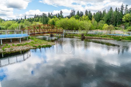 Una vista de un brdige caminando en un parque de la ciudad en Kenmore, Washington.