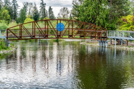 Una vista de caminar brdiges en un parque de la ciudad en Kenmore, Washington.