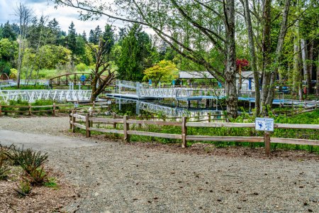 Una vista de caminar brdiges en un parque de la ciudad en Kenmore, Washington.