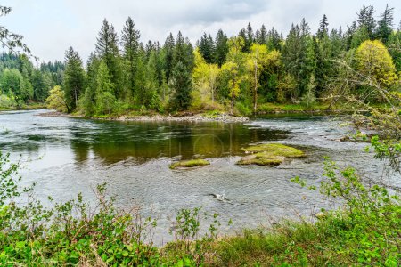 A view of the Snoqualmie River in Washington State in springtime.