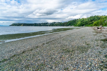 A view of waterfront homes at Seahurst Beach park in Burien, Washington. The tide is low.
