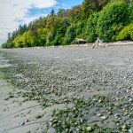 A view of the rocky beach at Lincoln Park in West Seattle, Washington.
