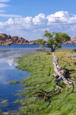 Téléchargez les photos : Rivage de Watson Lake à Prescott, Arizona. - en image libre de droit