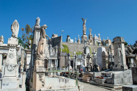 Téléchargez les photos : Statues en pierre dans un ancien cimetière, figures gothiques dans une crypte - en image libre de droit