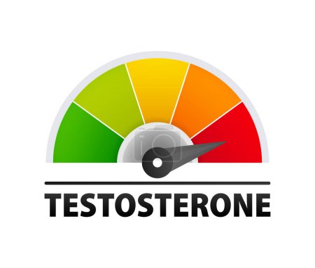Téléchargez les illustrations : Testosterone level metering. Testosterone hormone speedometer, indicators - en licence libre de droit