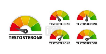 Testosterone level metering scale. Tracking and Managing Your Hormonal Health for Optimal Well-being. Vector illustration
