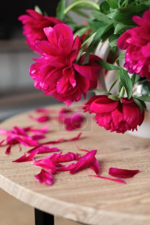 Foto de Peonías de color rosa vista de cerca - Imagen libre de derechos