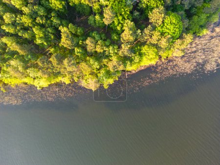 Téléchargez les photos : Vue aérienne des rives du Grand lac Pleetsch près de Diemitz dans le Mecklembourg-Poméranie occidentale. - en image libre de droit