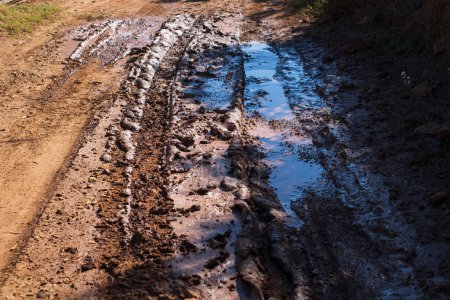 Mud and puddles on the dirt road after rain