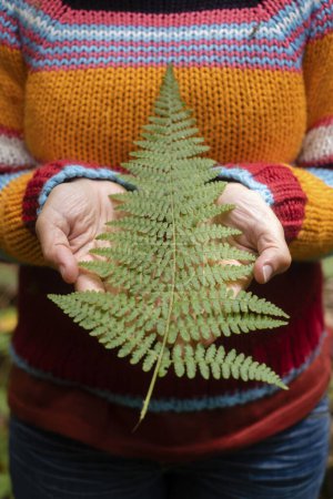 Photo for Woman holding a big nature tropical leaf with hands and colorful wool pullover in background. Nature lover and stop climate change or pollution. Environment care lifestyle for people at the park - Royalty Free Image