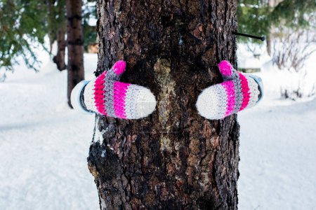 Foto de One woman behind a pine trunk hugging it with warm and colorful knitted gloves. Snow natural landscape scenic woods forest and tourist with environment lifestyle. Happiness and freedom - Imagen libre de derechos
