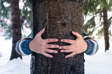 Foto de Man hands holding and embracing pine trunk in winter snow season holiday vacation. Concept of love of nature and environment care. Outdoor leisure activity in forest. One male people love for nature - Imagen libre de derechos