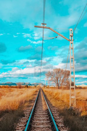 Téléchargez les photos : Empty railway in countryside against a blue sky with clouds. Concept of transport. No trail vehicle. Vertical composition. Travel and destination. Railroad in Spain. No traffic trains. Saturated mood - en image libre de droit