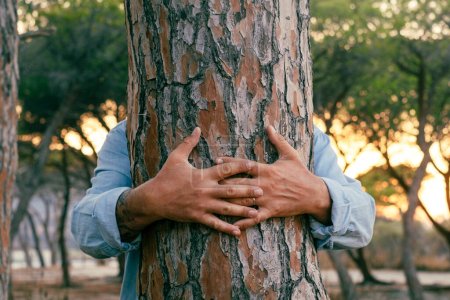 Photo for Close up of man hands hugging a trunk tree at the park. People and nature protection environment lifestyle. Outdoor leisure activity. Saving planet earth. Love nature background human protection - Royalty Free Image