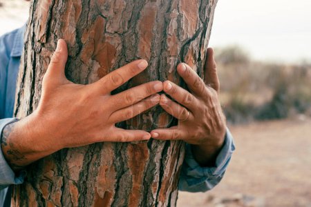 Photo for Close up of man hands on a trunk tree. People and environment climate change protection planet earth. Concept of sustainable life. One mature male hugging nature to protect and save. Love lifestyle - Royalty Free Image