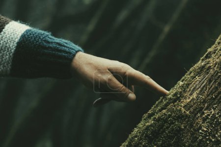 Téléchargez les photos : Gros plan de l'homme humain doigt main toucher avec soin un tronc de musc vert dans les bois de forêt de plein air endroit pittoresque de la nature. Les gens et la nature respectent l'amour. Arrêter la déforestation et le changement climatique avenir - en image libre de droit