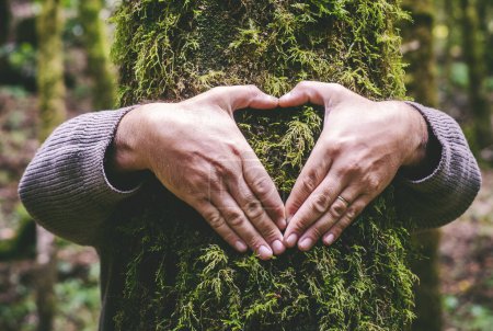 Téléchargez les photos : Homme étreignant un tronc d'arbre vert faisant geste de coeur avec les mains. Les gens et l'amour le respect de la nature forêt et environnement style de vie. écologiste embrasser tronc avec du musc. Arrêter le changement climatique - en image libre de droit